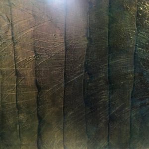 Forests